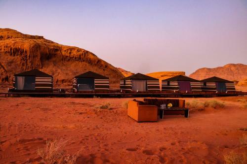 Discover The Life Of Wadi Rum