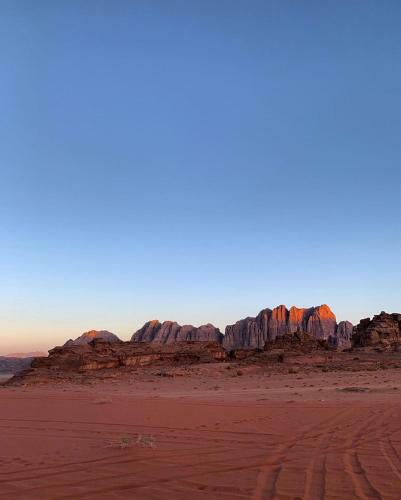 Discover The Life Of Wadi Rum