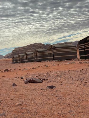 Sand And Stone Camp - Wadi Rum Desert