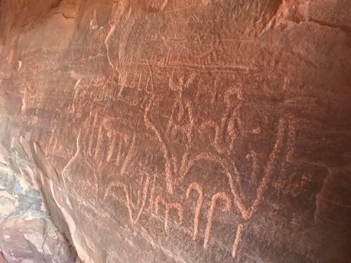 Sand And Stone Camp - Wadi Rum Desert