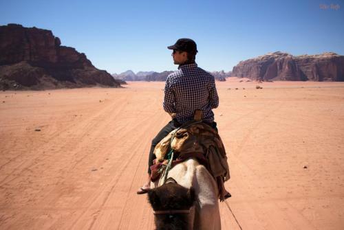 Sand And Stone Camp - Wadi Rum Desert
