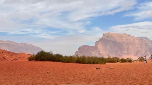 Sand And Stone Camp - Wadi Rum Desert