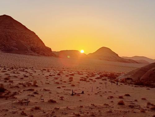 Albergue Wadi Rum Bedouin Campsite & Tours