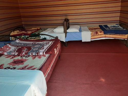 Albergue Wadi Rum Bedouin Campsite & Tours