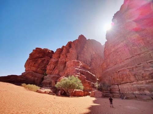 Albergue Wadi Rum Bedouin Campsite & Tours