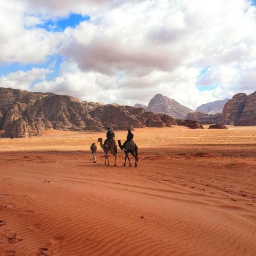 Wadi Rum Dew