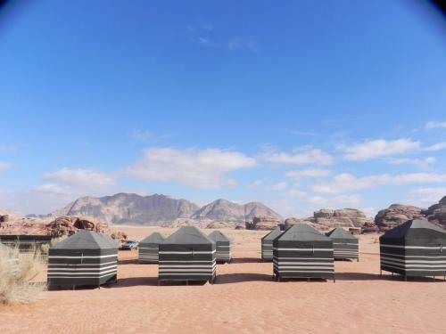 Wadi Rum Dew