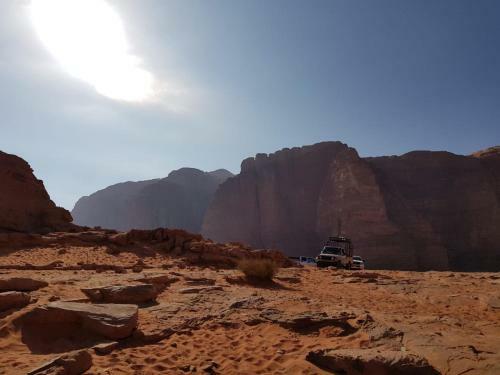 Wadi Rum Dew