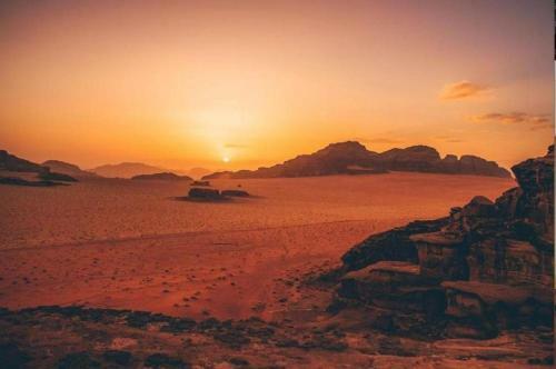 Wadi Rum Dew