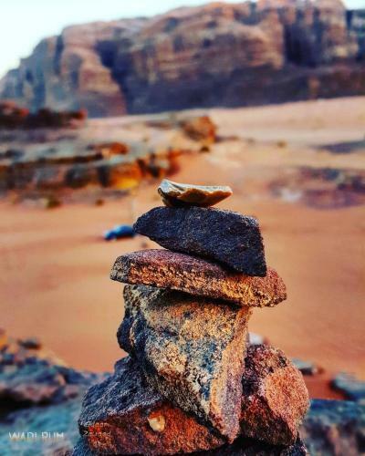 Bed & Breakfast Desert Nights Camp