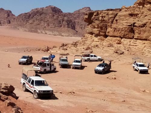 Bed & Breakfast Wadi Rum Desert Lovers Camp