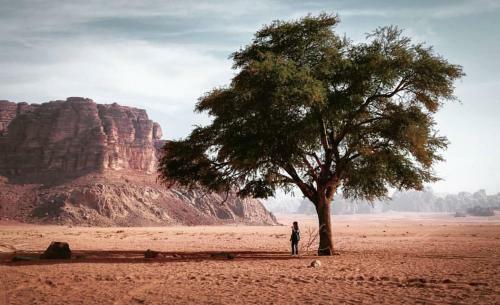 Bed & Breakfast Wadi Rum Desert Lovers Camp