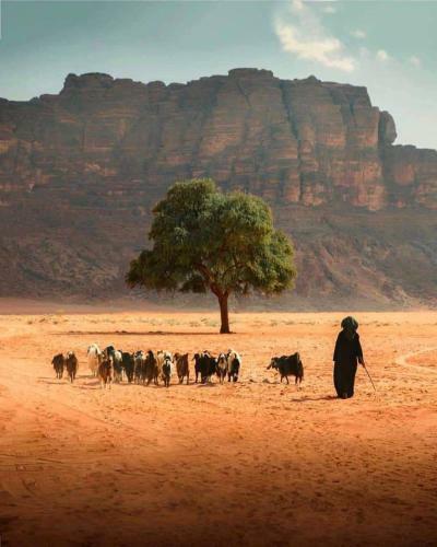 Bed & Breakfast Wadi Rum Desert Lovers Camp
