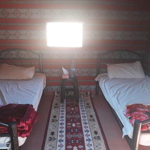 Rotana Camp & Desert Tour's