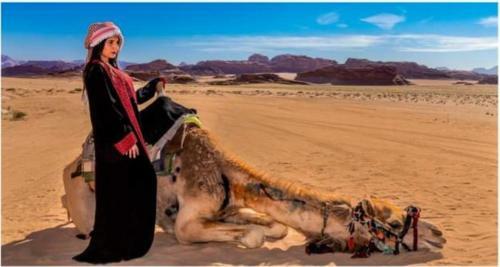 Bedouin Moon Camp&tour