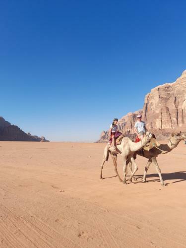 Bedouin Moon Camp&tour