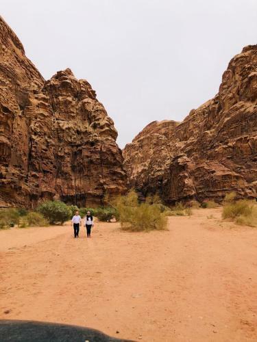 Wadi Rum Alternative Camp