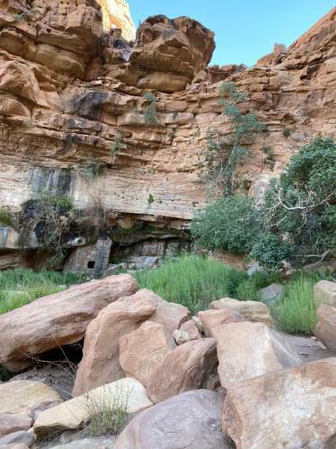 Wadi Rum Alternative Camp