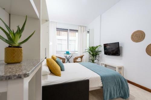 Apartamento Estudio Canteras I