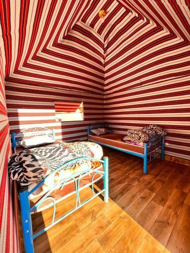 Wadi Rum White Mountain Camp