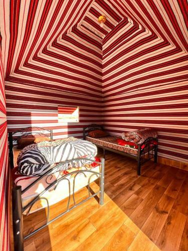 Wadi Rum White Mountain Camp