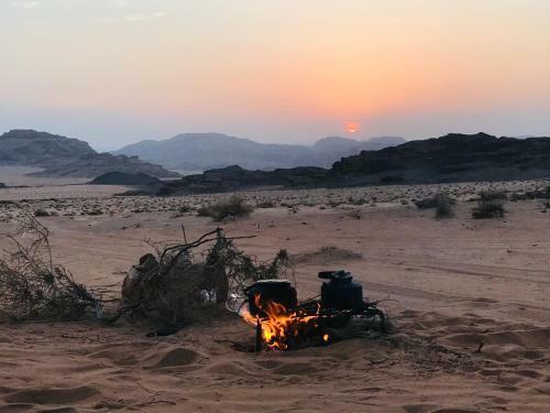 Wadi Rum White Mountain Camp
