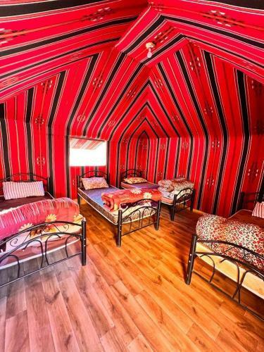 Wadi Rum Wonders