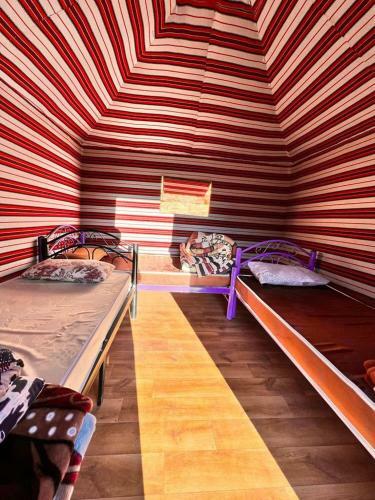 Wadi Rum Wonders