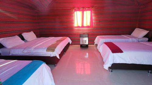 Night Under The Stars - Bedouin Camp