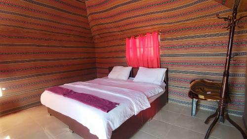 Night Under The Stars - Bedouin Camp