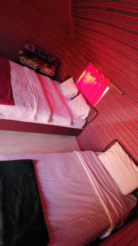 Night Under The Stars - Bedouin Camp