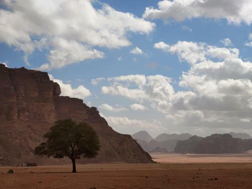 Night Under The Stars - Bedouin Camp