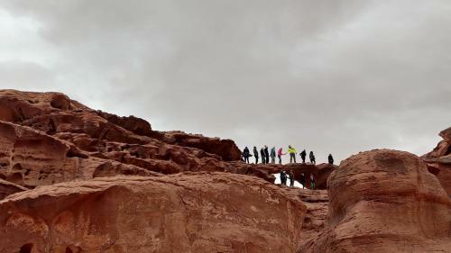 Night Under The Stars - Bedouin Camp