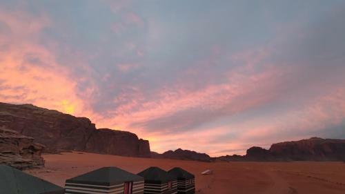 Night Under The Stars - Bedouin Camp