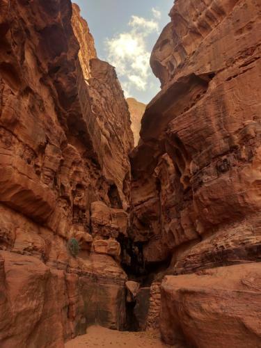 Night Under The Stars - Bedouin Camp