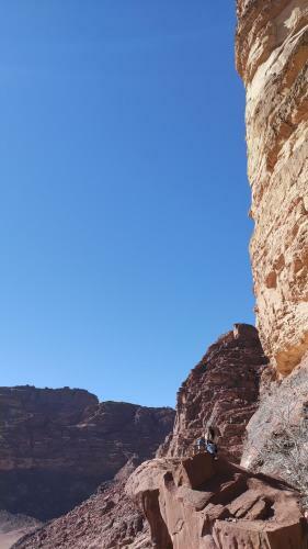 Night Under The Stars - Bedouin Camp