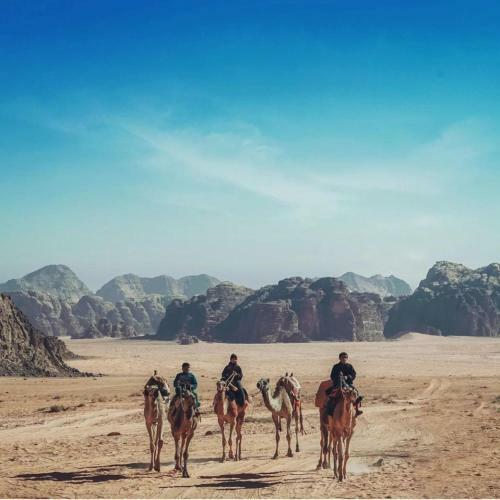 Bed & Breakfast Wadi Rum Salamah Camp