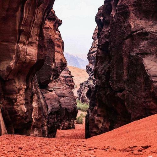 Bed & Breakfast Wadi Rum Salamah Camp