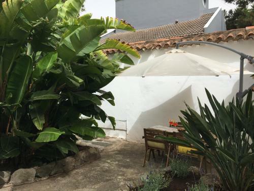 Hostal La Casita De Las Palmas