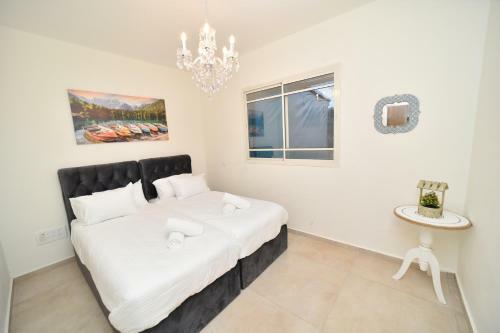 Apartamento European Aristocracy Luzit