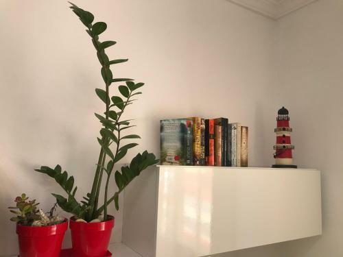 Apartamento Carlo Home