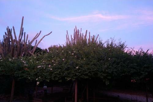 Apartamento Extraordinary Kas Di Hadrey In Kralendijk