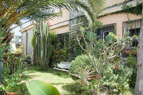 Casa El Drago