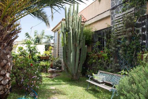 Casa El Drago