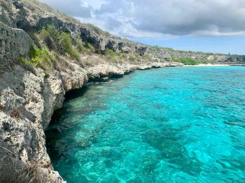 Salt Apartments Bonaire