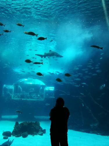 Apartamento Las Canteras Aquarium