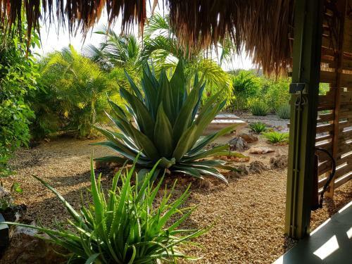 Apartamento Yamba From Bonaire