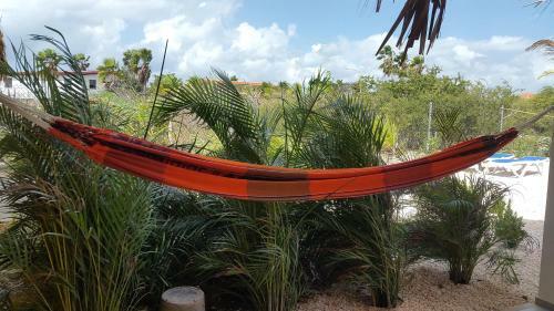 Apartamento Kas Tuna Sabalpalm Villas Bonaire