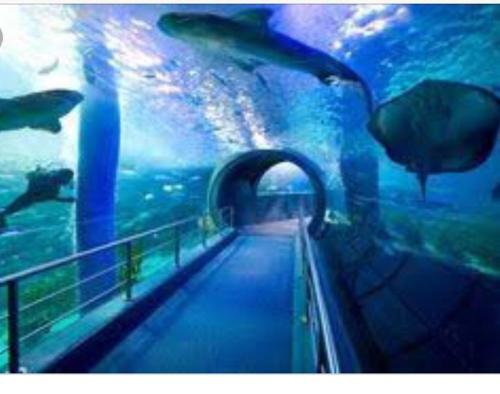 Apartamentos Syria Las Canteras