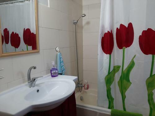 Apartamento ???? ???????